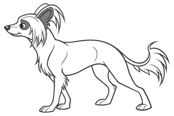 Chinese Crested Dog Line Art Illustration of a Hairless Breed with Tufted Head and Tail Viewed from the Side