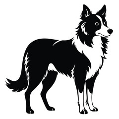 Elegant Black and White Border Collie Illustration A Striking Depiction of Breed Loyalty and Graceful Canine Form in a Simple Graphic Design