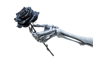 A haunting skeletal hand grasping a black rose symbolizing dark romance mystery and the eerie beauty of gothic aesthetics isolated on transparent background PNG