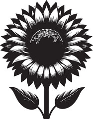Aurelia Sunflower Vector Illustration – Elegant Golden Bloom Design