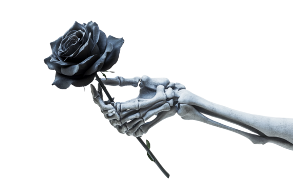 A haunting skeletal hand grasping a black rose symbolizing dark romance mystery and the eerie beauty of gothic aesthetics isolated on transparent background PNG