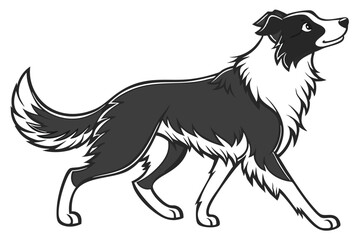 Elegant Border Collie Prowls Forward Gracefully A Striking Black and White Illustration with Bold Outlines and Dynamic Movement Depicting a Canine Companion