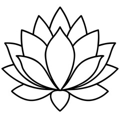 Minimal Lotus Line Art Illustration