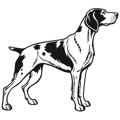 Elegant German Shorthaired Pointer Line Art Illustration with Distinct Black and White Markings, Sporting Breed, Hunting Companion
