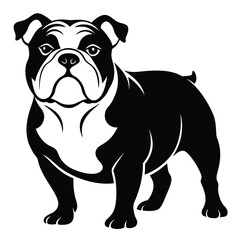 Black and White Bulldog Illustration Presenting a Strong and Majestic Stance with Distinct Markings and Determined Expression