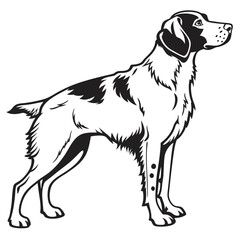 Elegant Black and White Portrait of a Pointer Dog A Detailed Illustration of Breed Characteristics and Graceful Stance