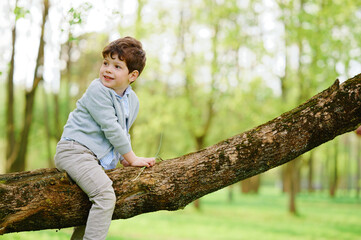 boy climbing tree in lush green forest, wearing casual clothing, enjoying nature, capturing essence...