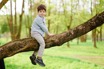 child sitting on tree branch outdoors, smiling in park. young boy enjoying nature and adventure,...