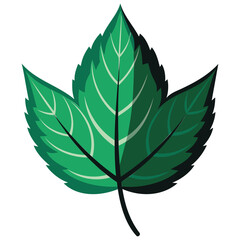 Elegant Tree Leaf Vector Art