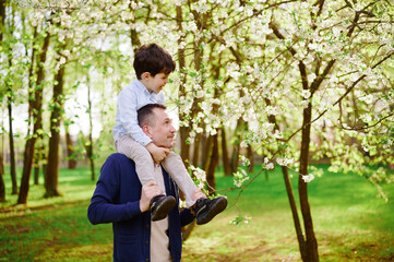 father and son in blooming orchard. man carries boy on shoulders among springtime blossoms, sharing...
