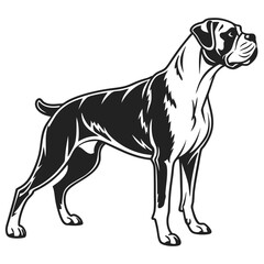 Elegant Boxer Dog Illustration Standing Tall A Majestic Canine Artwork Depicting Strength and Gracefulness Awaiting Enthusiastic Coloring and Creative Exploration