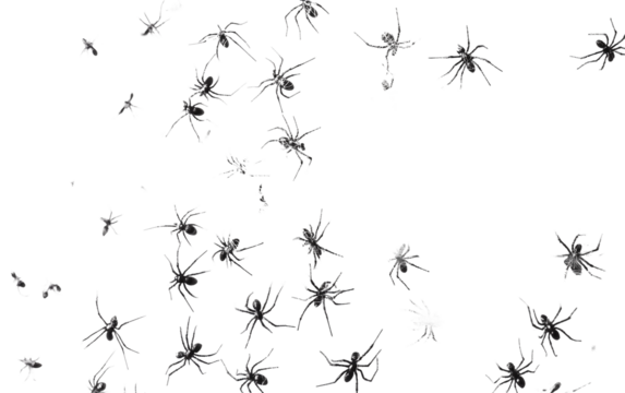 Intricate artificial spider web filled with miniature plastic spiders perfect for haunted house decor or festive party setups isolated on transparent background PNG