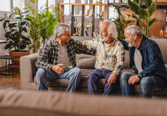Elderly friends enjoying time together and talking on sofa at home