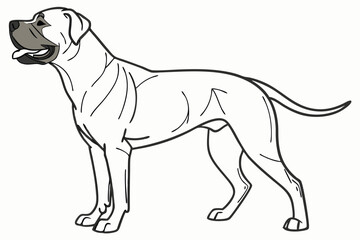 Elegant Bullmastiff Illustration A Strong and Loyal Companion Depicted in Detailed Line Art Standing Proudly Against a Plain Backdrop