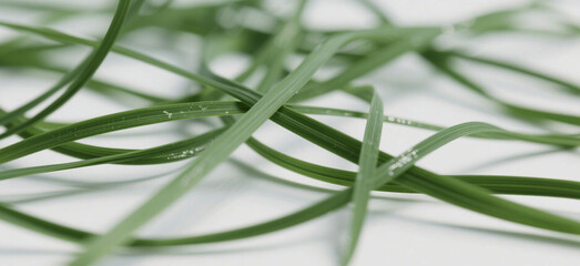 Close-up of vibrant artificial grass, ideal for landscaping projects.