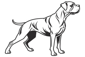 A Regal Boxer Dog in Striking Black and White Illustration Capturing Canine Strength and Grace with Elegant Lines and Precise Detailing