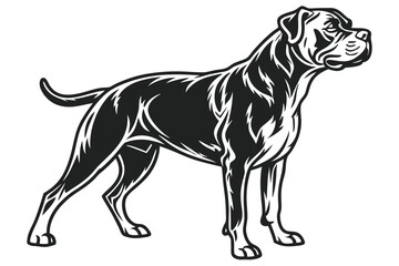 Majestic Cane Corso Illustration Strong Italian Mastiff Breed Depicted with Sleek Lines and Powerful Build Stands Proudly Silhouette Image