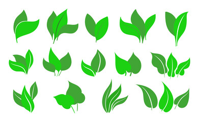 Green leaves icons set isolated on white background vector illustration. Collection of green leaves. Template for package and cover. Vegan, tree, plant, fresh, energy and healthy nutrition concept.