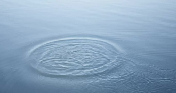 A fish bait is thrown into the water of a fish pond causing a splash