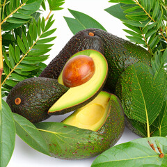 Fresh Hass Avocados with Green Leaves