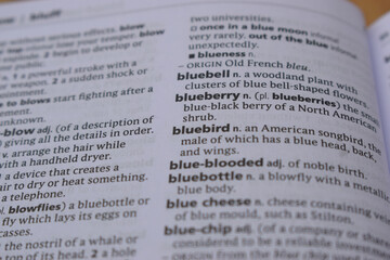 English Definition Dictionary Page Of Printed Word -  Blueberry Close Up