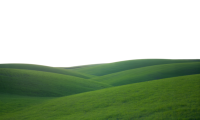 Rolling Green Hills Landscape Serene Nature Photography