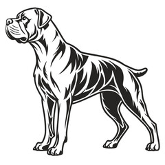 Majestic Cane Corso Illustration Strong and Loyal Breed Portrayed with Bold Lines and Distinctive Features in Vector Art