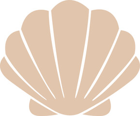 조개 껍데기 벡터 일러스트