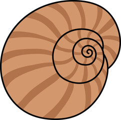 Obraz premium 조개 껍데기 벡터 일러스트