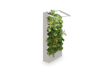 Storage with decorative housplant isoalted on white, side view