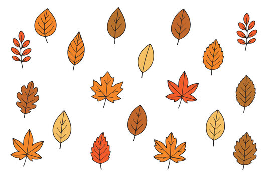 Big set with outlines of bright autumn leaves in doodle style. Concept of forest, leaf fall, nature. Vector illustration, hand drawn. Vector 