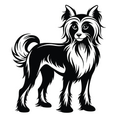 Elegant Chinese Crested Dog Illustration A Striking Black and White Design Showcasing Breed Characteristics and Graceful Features in Artistic Form