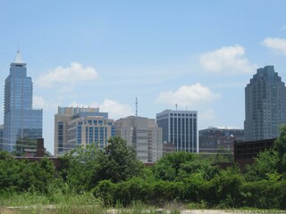 Small town skyline with trees