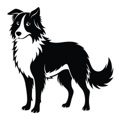 Elegant Border Collie Illustration a Timeless Black and White Depiction of Canine Grace and Intelligence in Striking Detail and Precise Markings