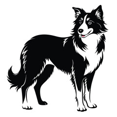 Majestic Border Collie Portrait A Striking Black and White Illustration of a Beloved Herding Dog Standing Tall and Proud