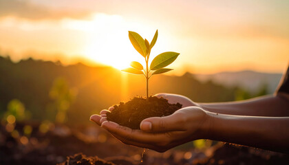 hand holding a plant