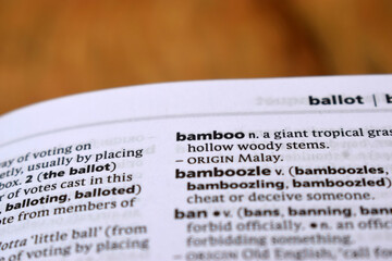 Close Up Of English Dictionary Page With Definition Word -Bamboo
