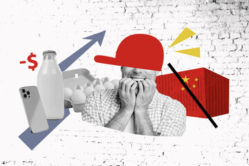Composite photo collage design sketch of young man confused cross china box inflation expensive...