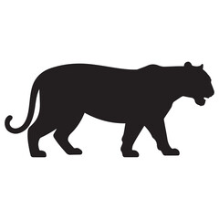Tiger vector silhouette illustration, walking wild big cat in black and white style isolated on white background