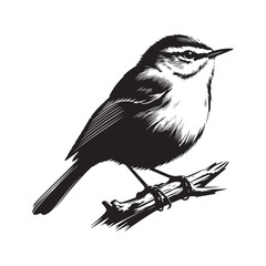 crow on a branch