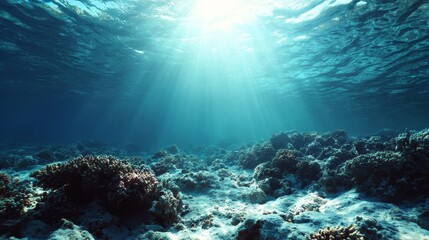 Underwater ocean view with beautiful seabed, sunlight beams penetrating through clear blue water, illuminating sand, rocks, coral reef, marine plants. Peaceful aquatic landscape with natural ecosystem