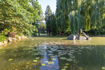 nese park with a lake and stones in the center of the reservoir