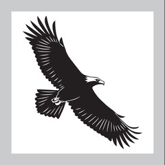 Powerful Wings of an Eagle in Action
