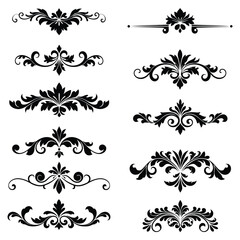 Black and White Floral Design Elements Set Ornate Swirls Leaves Vintage Style Decorative Borders Collection