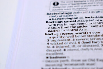 English Definition Dictionary Page Of Printed Word -  Bad Close Up