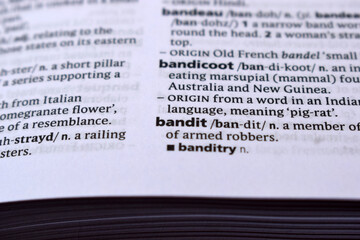 English Definition Dictionary Page Of Printed Word -  Bandit  Close Up