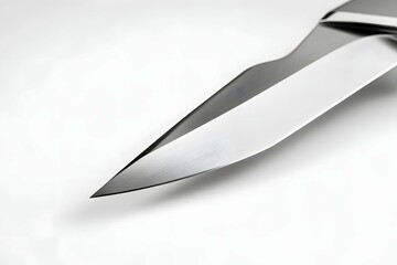 Obraz premium A glittering knife blade like a silver arrow, slicing through crisp modern design.