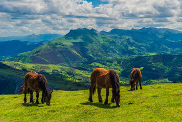 Tranquilidad con vista al valle