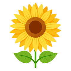 Natural Energy and Vitality: Bright Sunflower radiating Light
