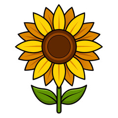 The Warmth of Summer Captured in a Single Sunflower